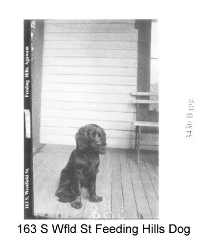 gal/Howes Brothers Agawam Pictures/DCP_543.jpg